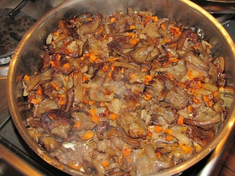 Рецепт приготовления мясо лося