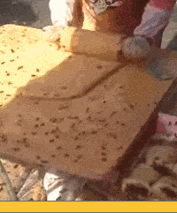 Забавные анимашки 33